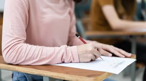 Standardizarea subiectelor la Evaluarea Națională și Bacalaureat: explicații de la profesorul Liviu Papadima